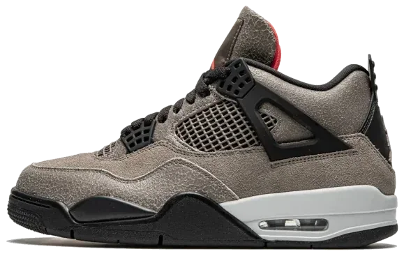 Air Jordan 4 Taupe Haze · Foto 2 de 4